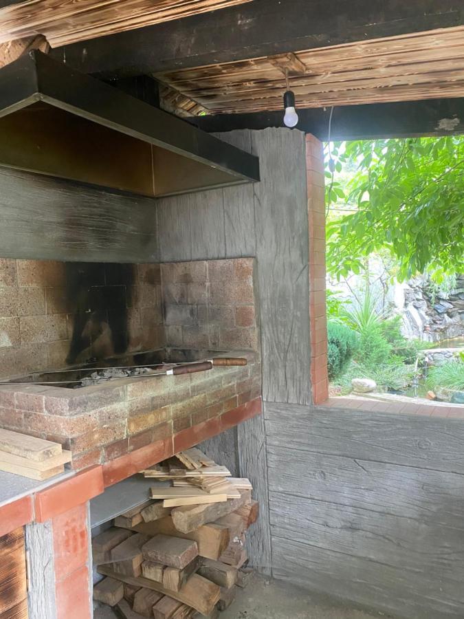 ホテル Holiday House Chkonia バトゥーミ エクステリア 写真