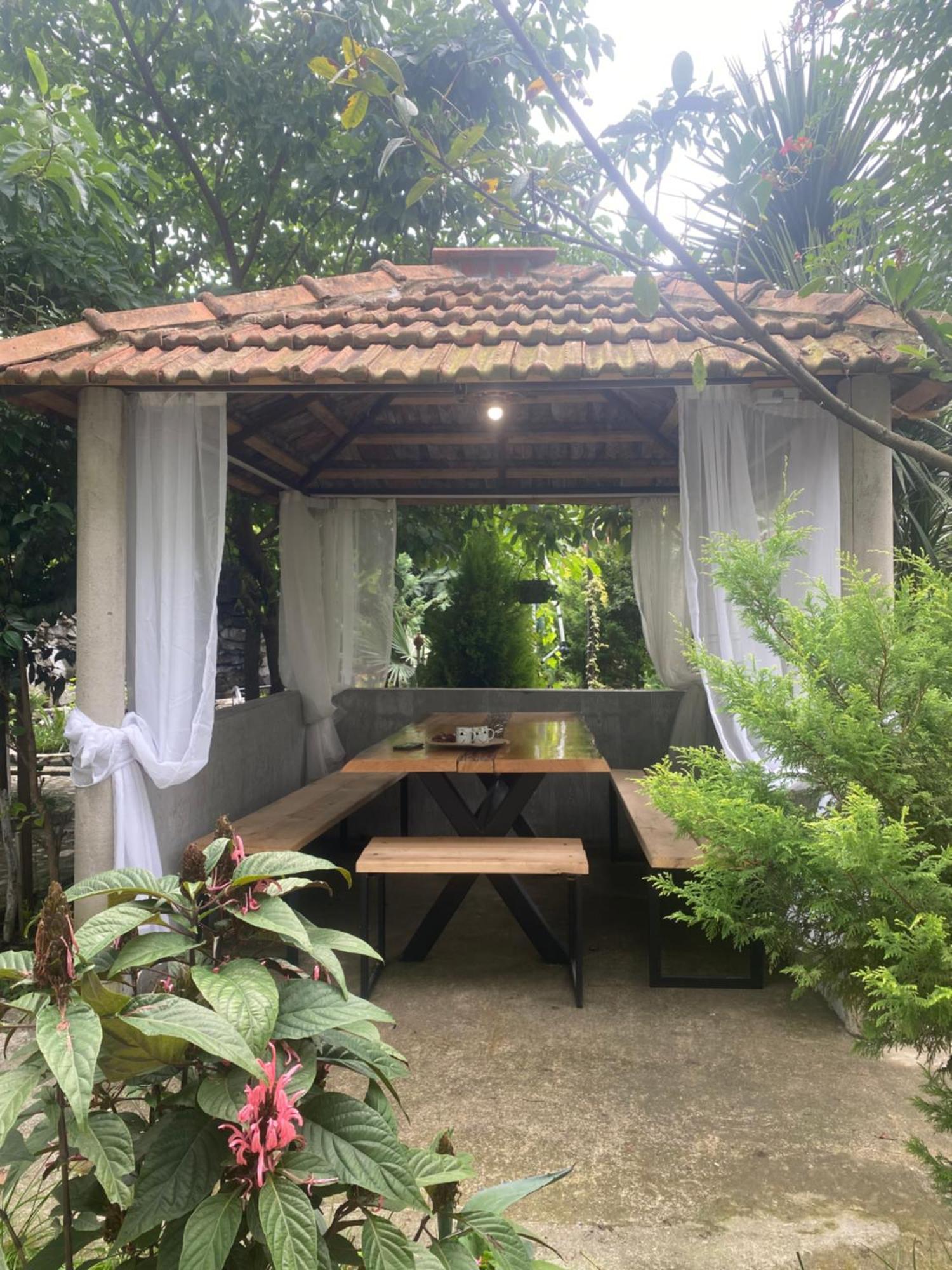 ホテル Holiday House Chkonia バトゥーミ エクステリア 写真