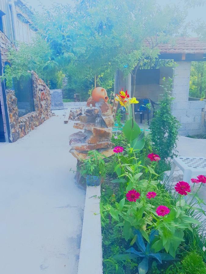 ホテル Holiday House Chkonia バトゥーミ エクステリア 写真