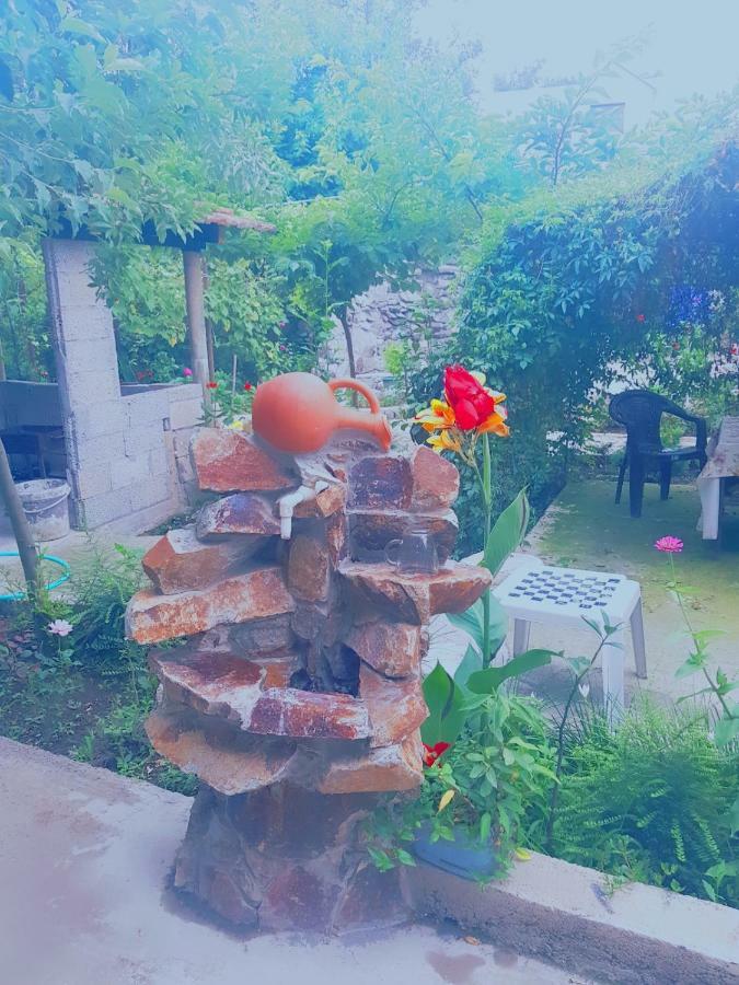ホテル Holiday House Chkonia バトゥーミ エクステリア 写真